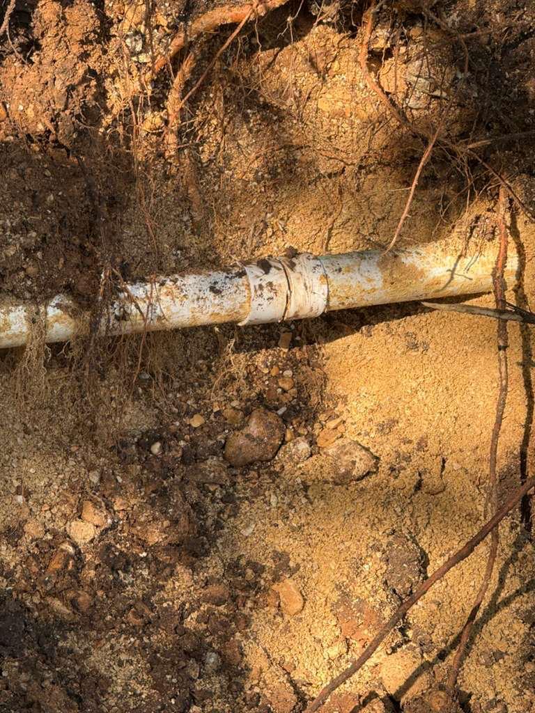 WhatsApp Image 2025-11-10 at 2.28.29 PM (1)